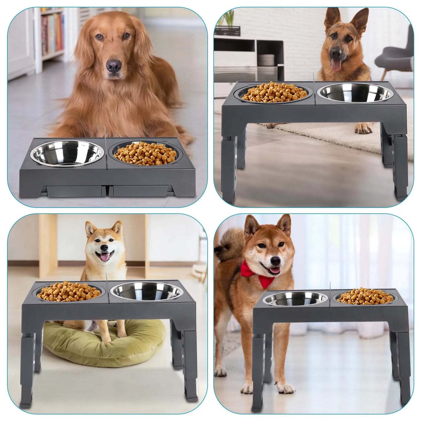 Support de Gamelles Surélevé pour Chien – Ajustable (5 Hauteurs) avec Gamelle Anti-Glouton & Inox