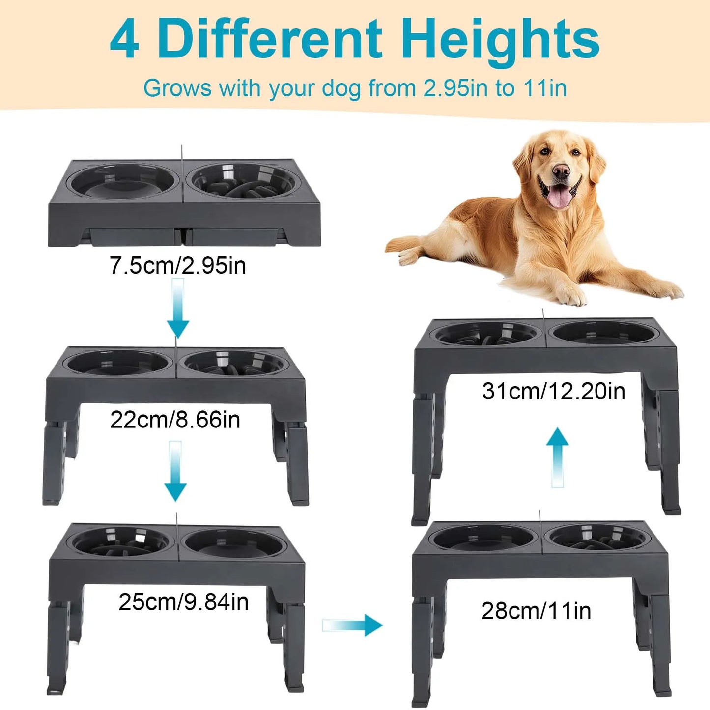 Support de Gamelles Surélevé pour Chien – Ajustable (5 Hauteurs) avec Gamelle Anti-Glouton & Inox