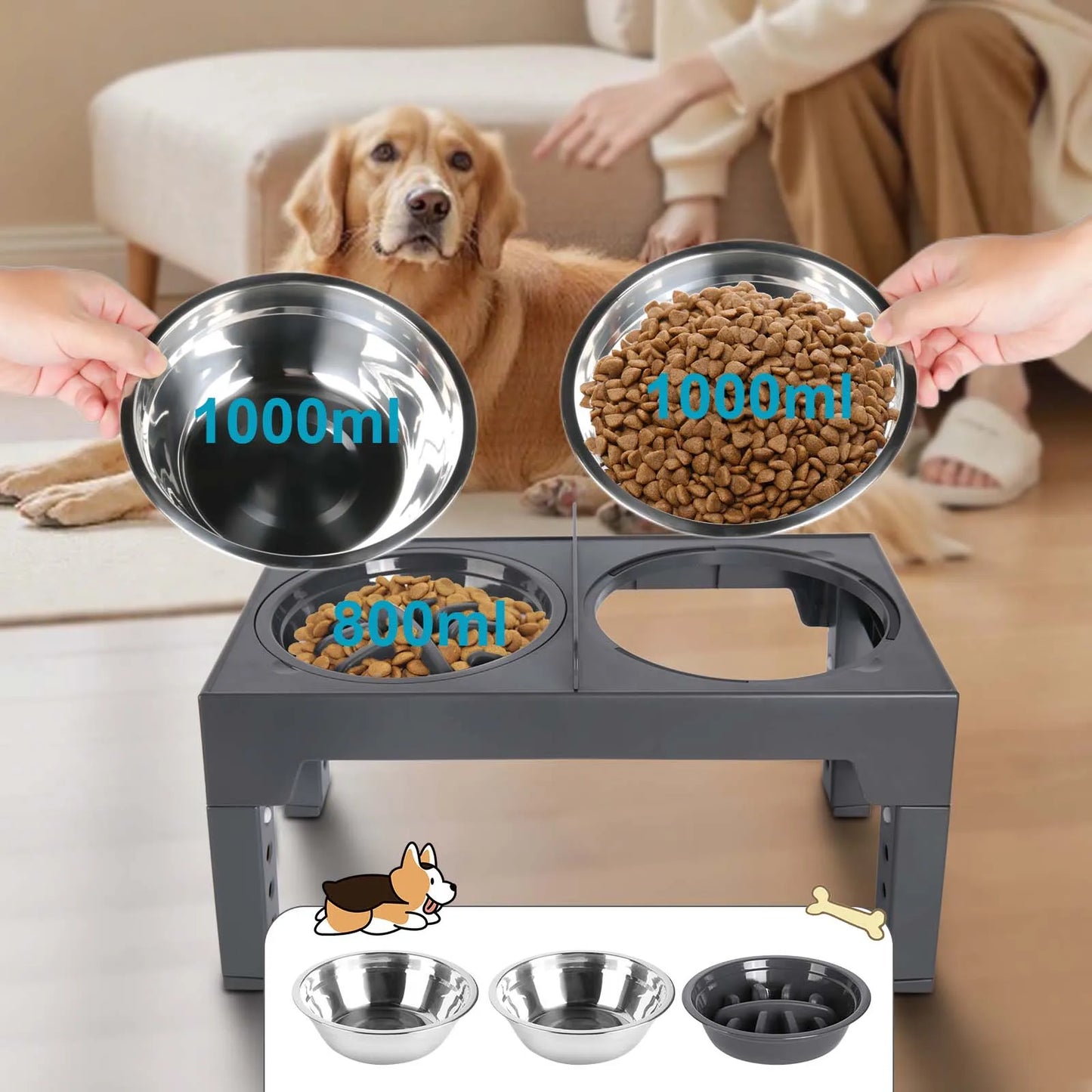 Support de Gamelles Surélevé pour Chien – Ajustable (5 Hauteurs) avec Gamelle Anti-Glouton & Inox